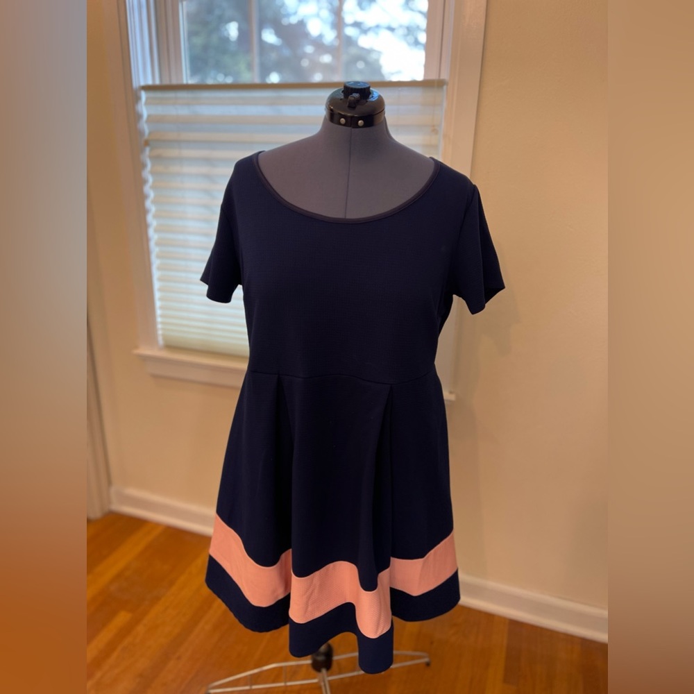Rue21 Blue and Pink Skater Dress size 2x